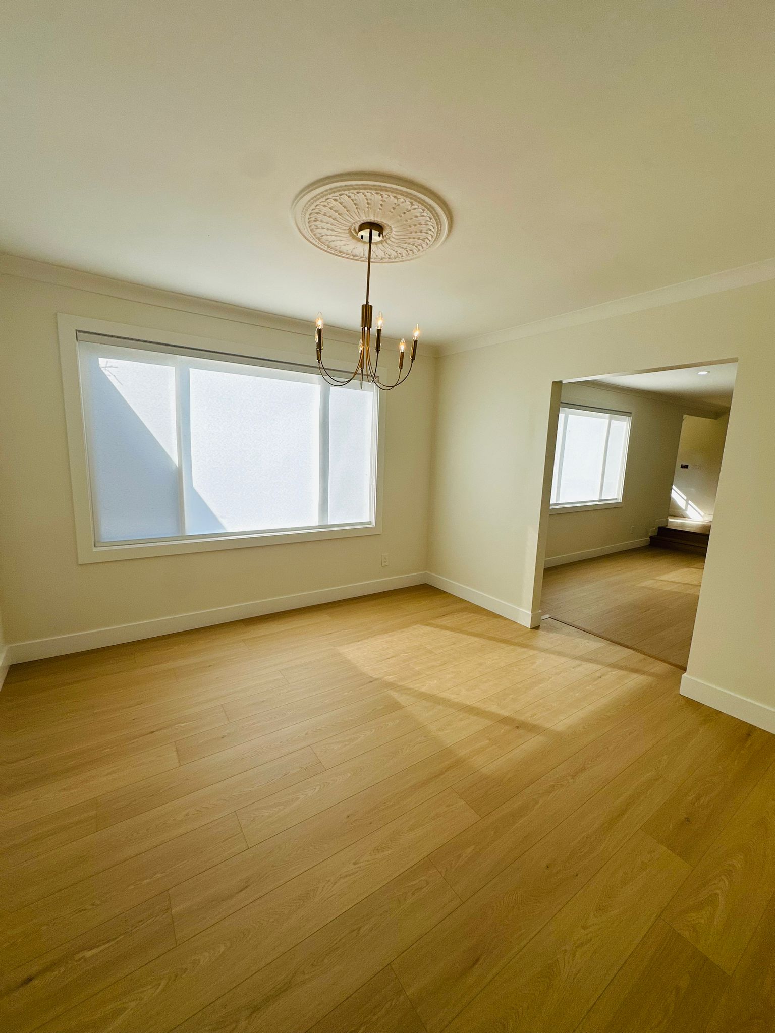 WhatsApp Image 2025-08-26 at 11.19.53 AM